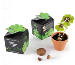 Kit de plantation boite cube avec graines personnalisable