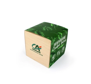 Cube en bois avec kit de plantation personnalisable