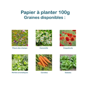 Calendrier A6 en papier de graines, 80g - 100g, 13 feuillets personnalisable