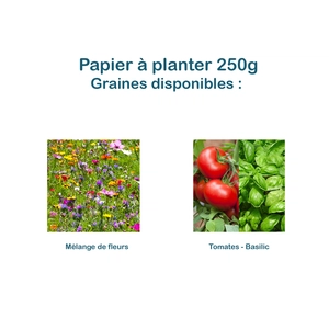 Carte en papier de graines forme de cœur 250g - 80 x 90 mm personnalisable