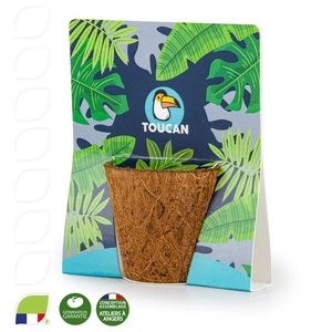 Kit avec pot en fibres de coco biodégradable - 100% BIO personnalisable