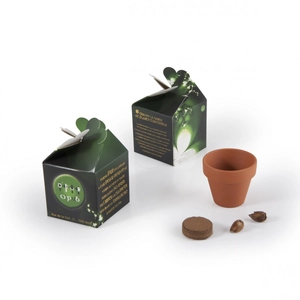 Kit de plantation boite cube avec graines personnalisable