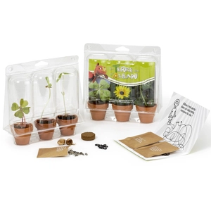 Kit de plantation mini serre personnalisable