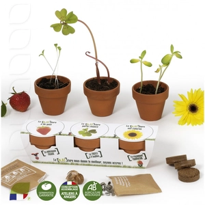 Kit de plantation trio de pots terre cuite, graines à semer personnalisable