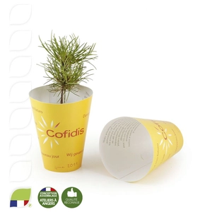 Petit plant de pin en pot biodégradable personnalisable