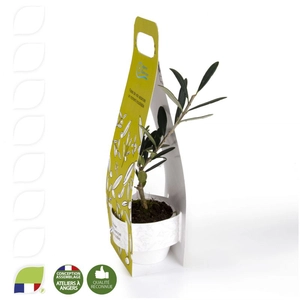 Plant d'olivier en sacoche quadri personnalisable
