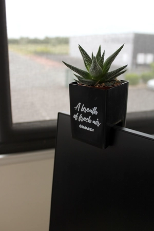 Le Pot ' Ordi, plante dépolluante pour écran de PC personnalisable