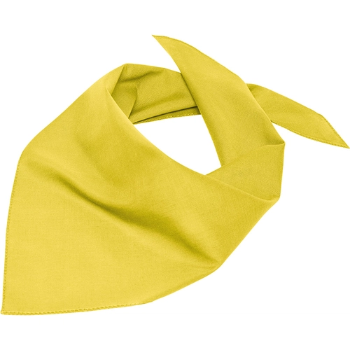 image du produit Bandana triangle 18 coloris au choix