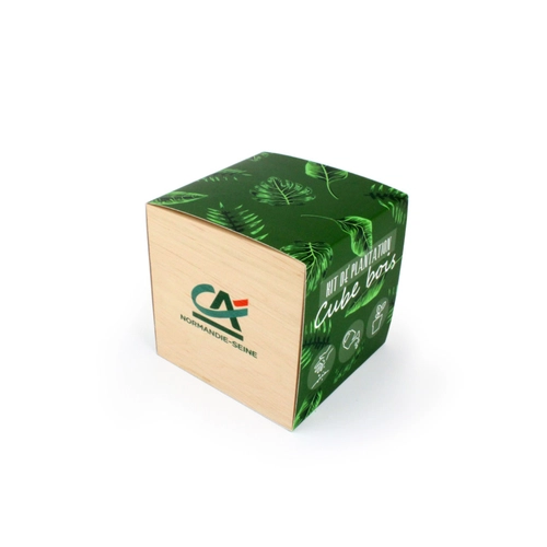 image du produit Cube en bois avec kit de plantation