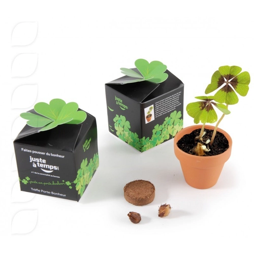 image du produit Kit de plantation boite cube avec graines