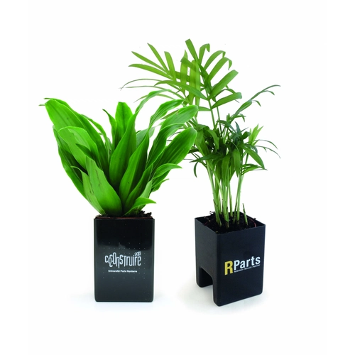 image du produit Le Pot ' Ordi, plante dépolluante pour écran de PC